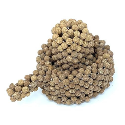 Shiva Lingam 100%Natural & Original 5 Mukhi Rudraksha Shivling Or Shiva Lingam