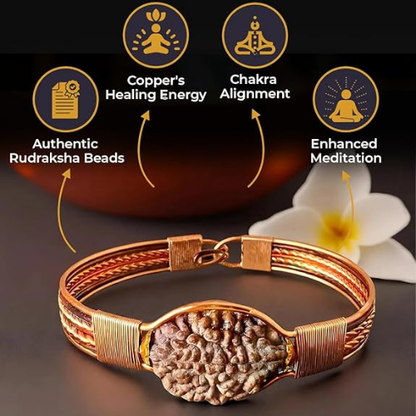 7 Mukhi Rudraksha Bracelet Kada  Origin Nepal