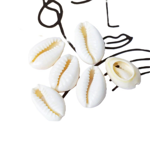 Natural Original Yellow Laxmi Cowrie (11 piece)
